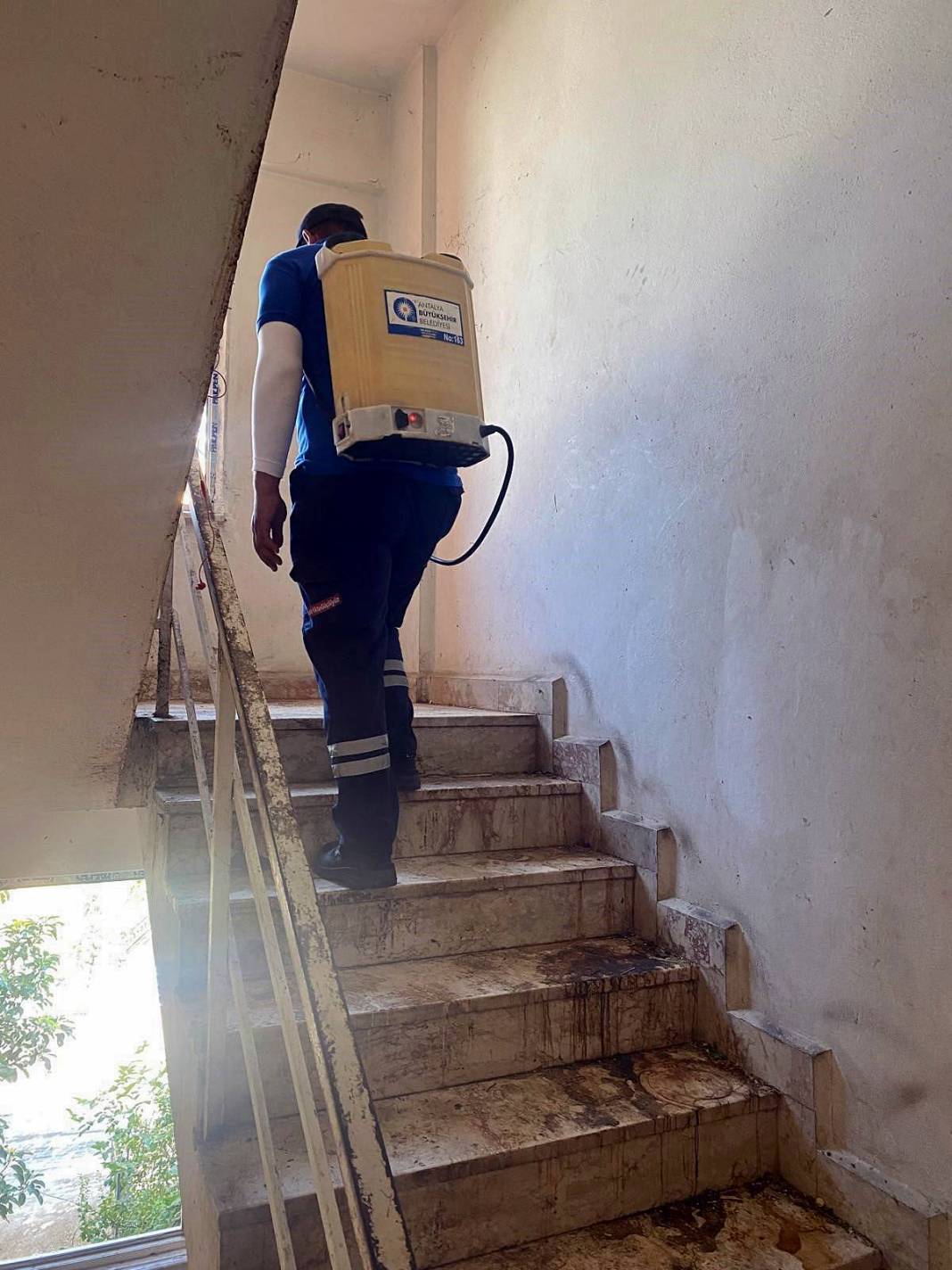 Kamyonlar yetmedi: Çöp partisi sona erdi! Apartmandan çıkanlar hayrete düşürdü 2